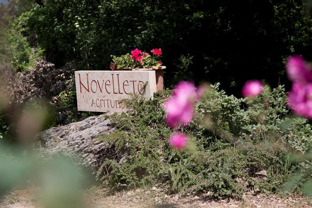 Novelleto Villa Monteriggioni Kültér fotó