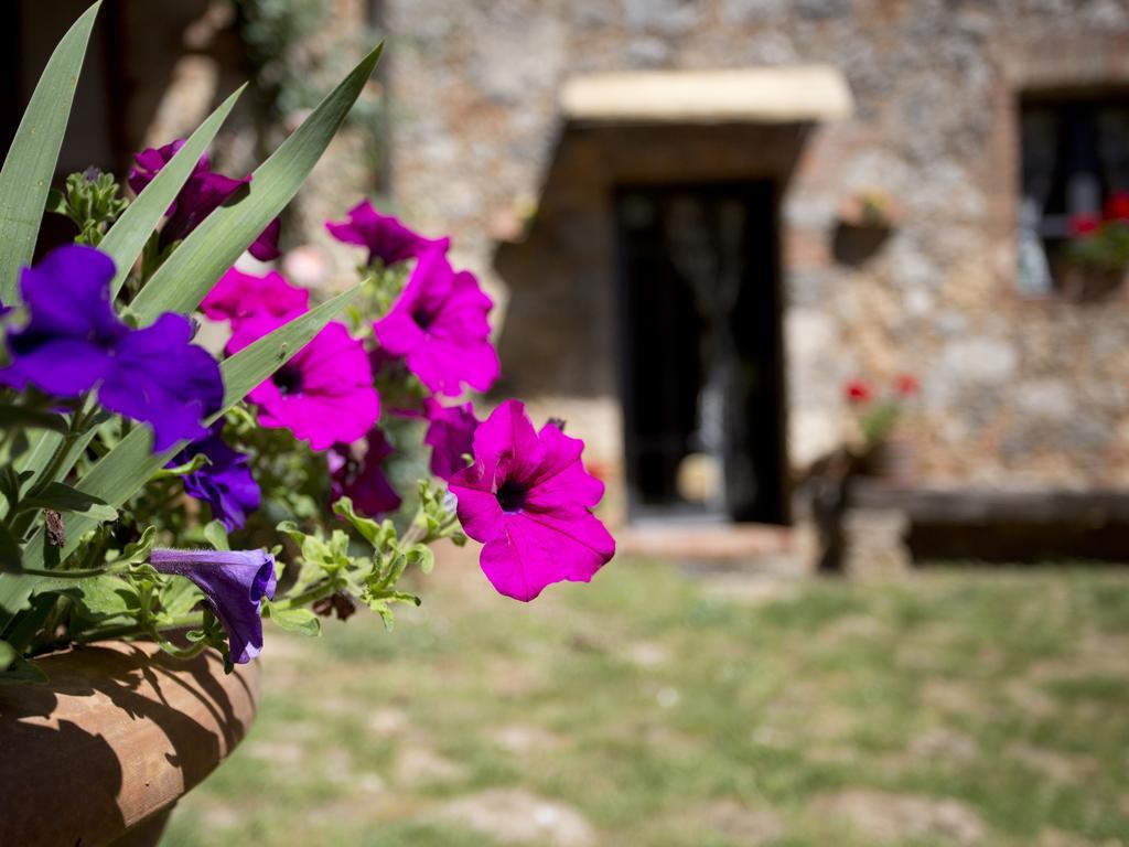 Novelleto Villa Monteriggioni Kültér fotó