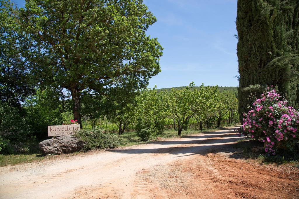 Novelleto Villa Monteriggioni Kültér fotó